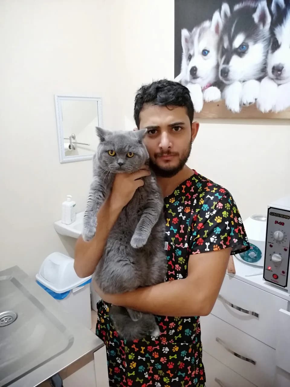 Veteriner Hekim Zeki Can Kıral klinikte gri bir British Shorthair kediyi kucağında tutuyor
