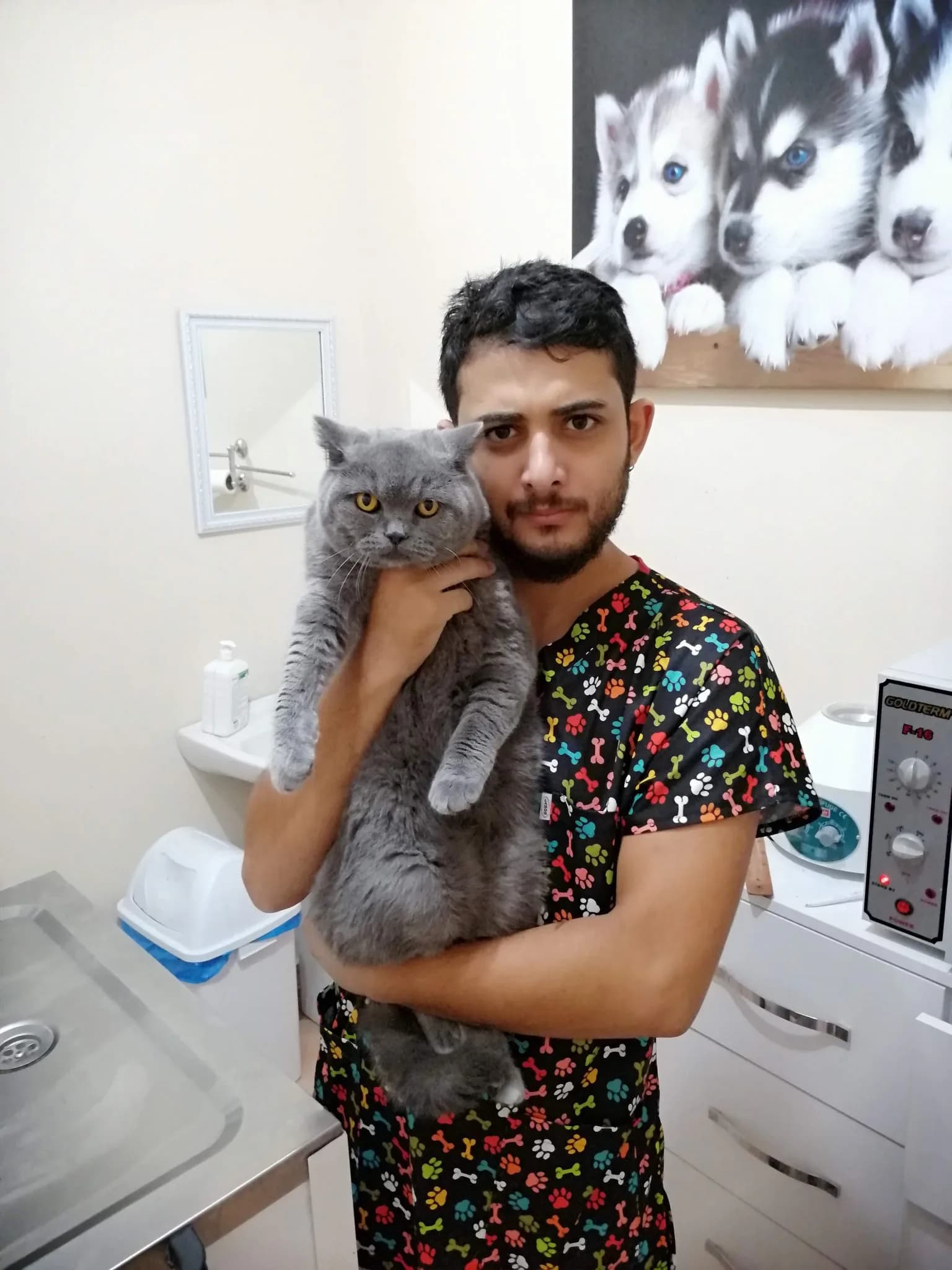 Veteriner Hekim Zeki Can Kıral klinikte gri bir British Shorthair kediyi kucağında tutuyor